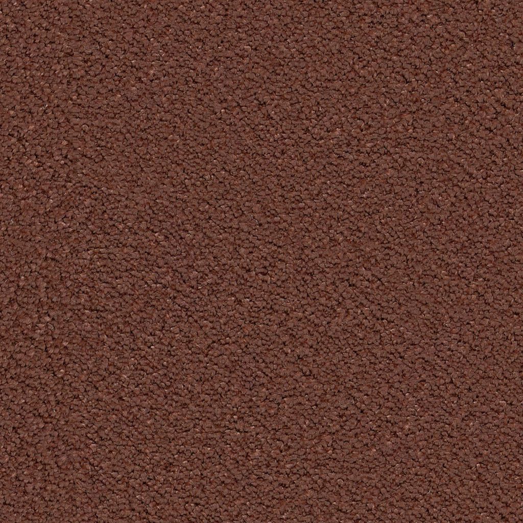 Ambiant Tapijt Lodi