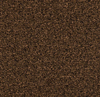 Coral Classic