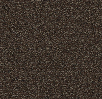 Coral Classic