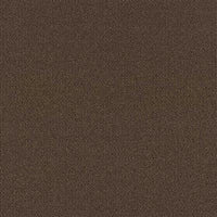 Co-pro Salon Droogloopmat