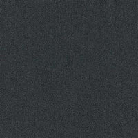 Co-pro Passage Droogloopmat