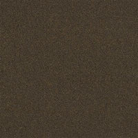 Co-pro Parterre Droogloopmat
