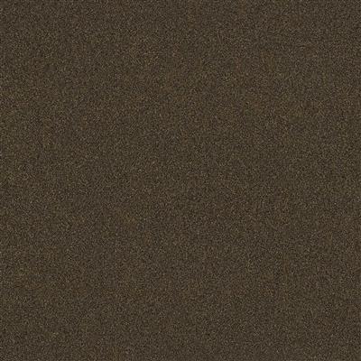 Co-pro Parterre Droogloopmat