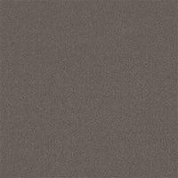 Co-pro Sweep Droogloopmat
