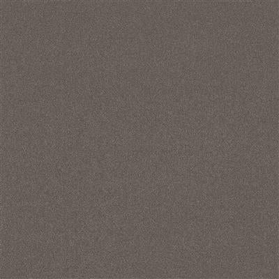 Co-pro Sweep Droogloopmat