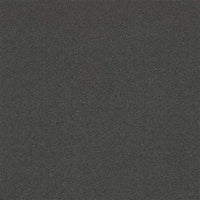 Co-pro Sweep Droogloopmat