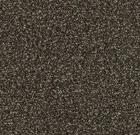 Coral Classic