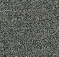 Coral Classic