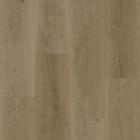Bodiax BP300 Longa