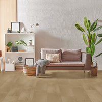 Bodiax Dryback PVC - Soil -freelance groothandel