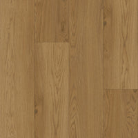 Bodiax BP370 Estrela