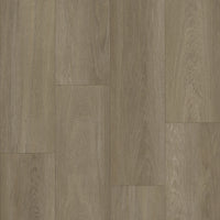 Bodiax BP370 Estrela
