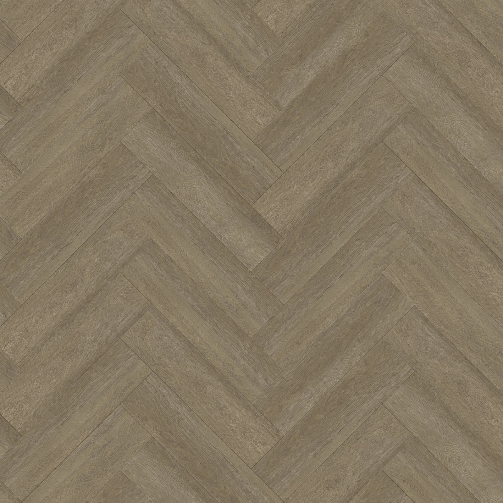 Bodiax BP380 Aringa visgraat