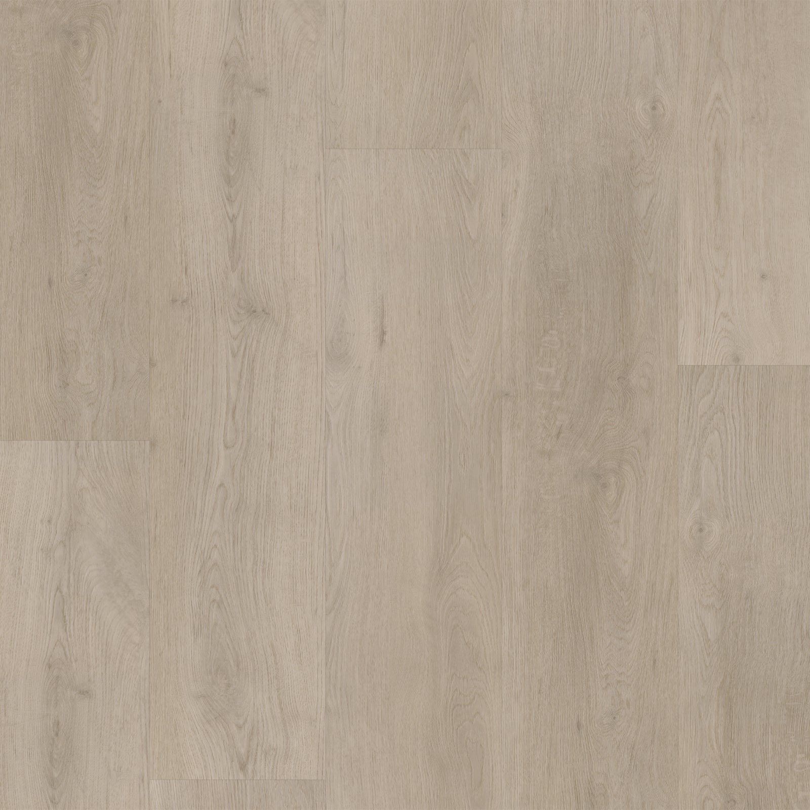 Bodiax BP400 Ivar
