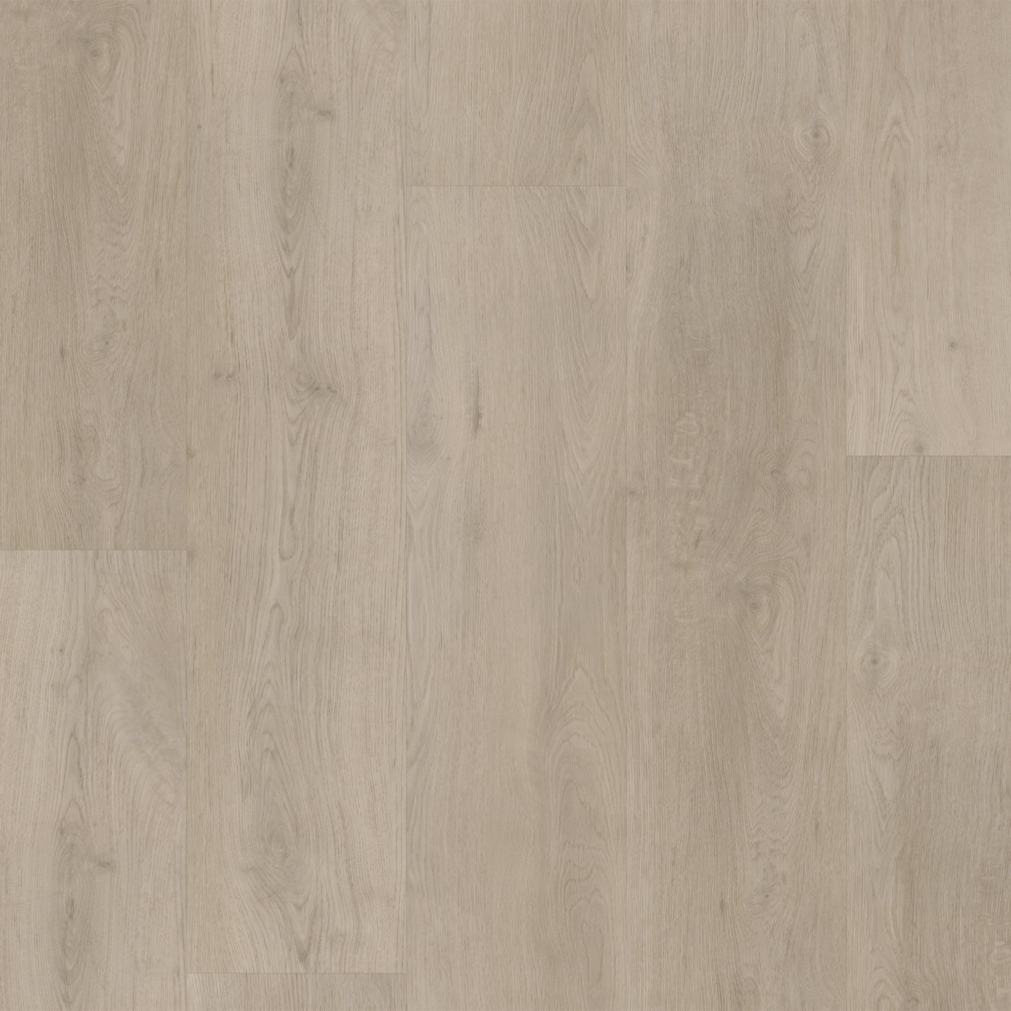Bodiax BP400 Ivar