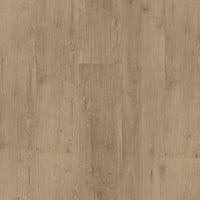 Bodiax BP400 Ivar