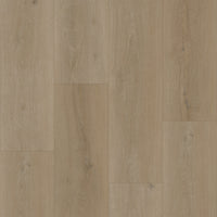 Bodiax BP500 Thor