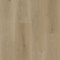 Bodiax BP500 Thor