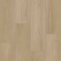 Bodiax BP500 Thor