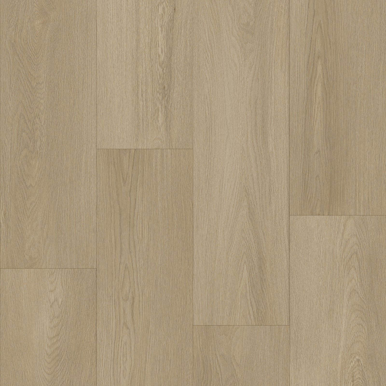 Bodiax BP500 Thor