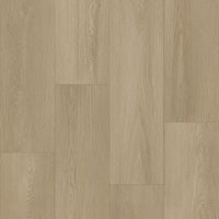 Bodiax BP500 Thor