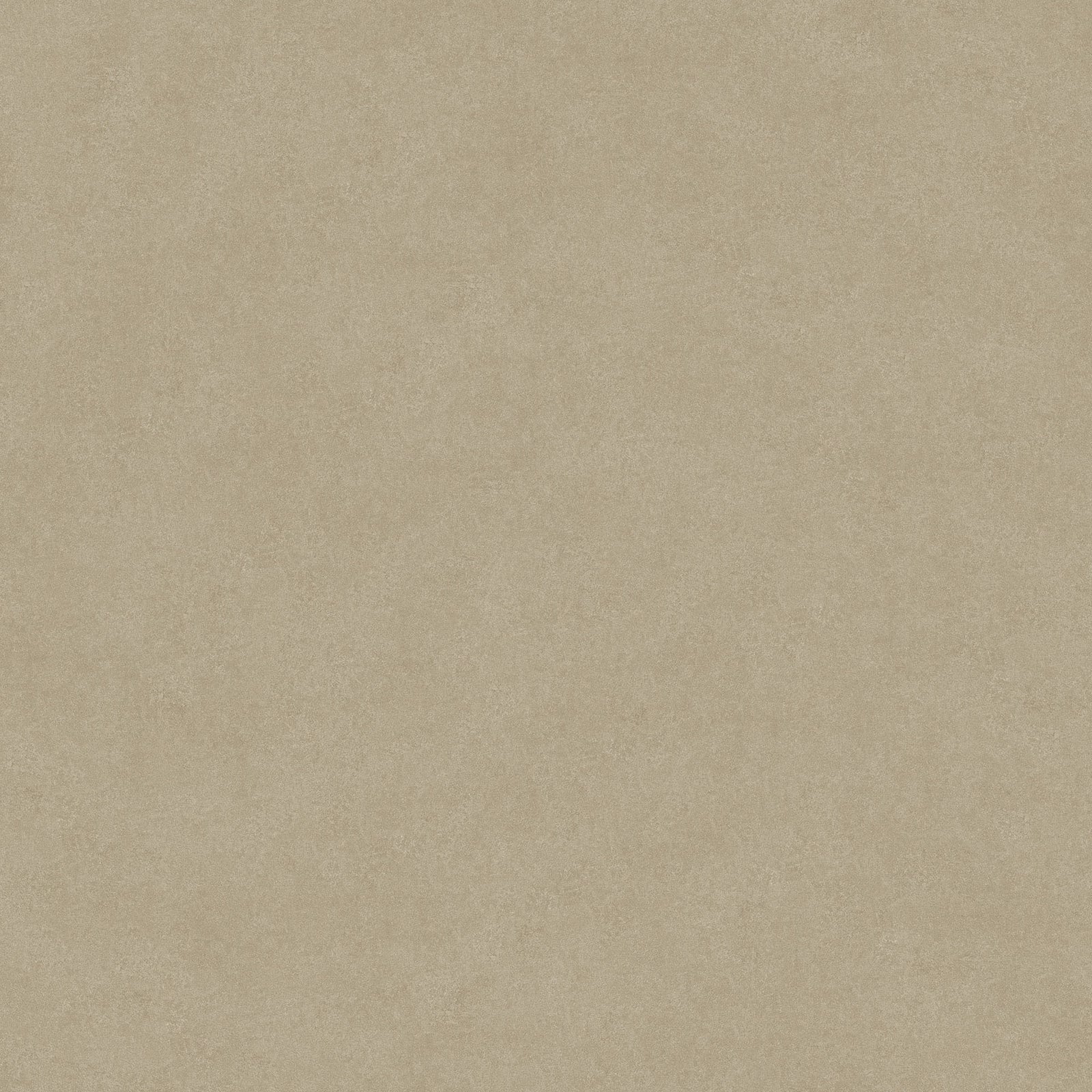 Bodiax BP565 Rock