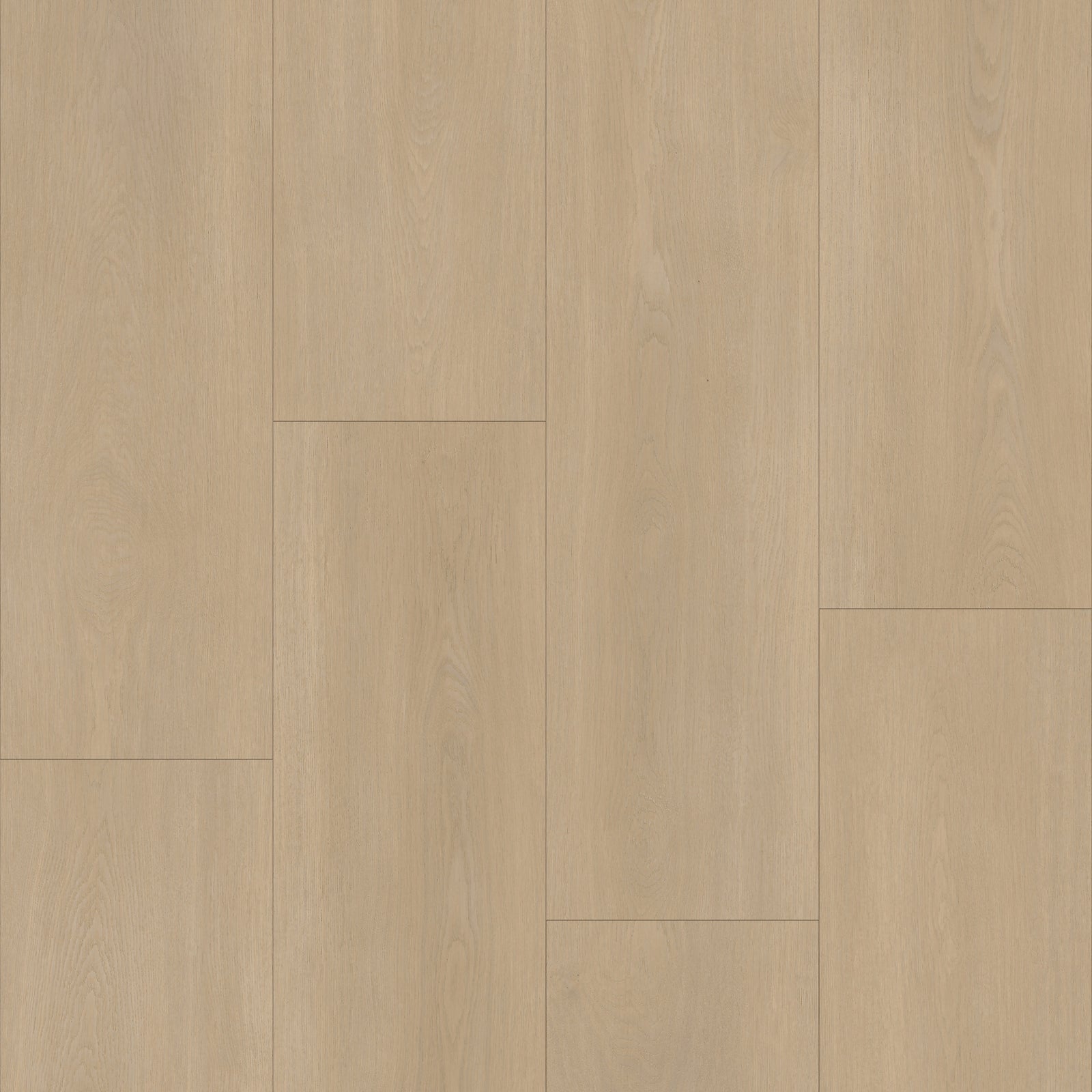 Bodiax BP590 Royal