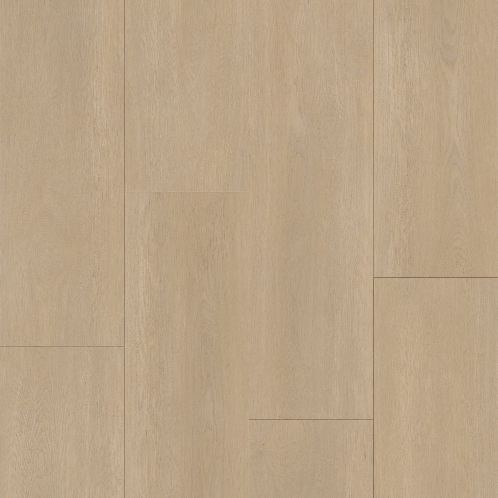 Bodiax BP590 Royal