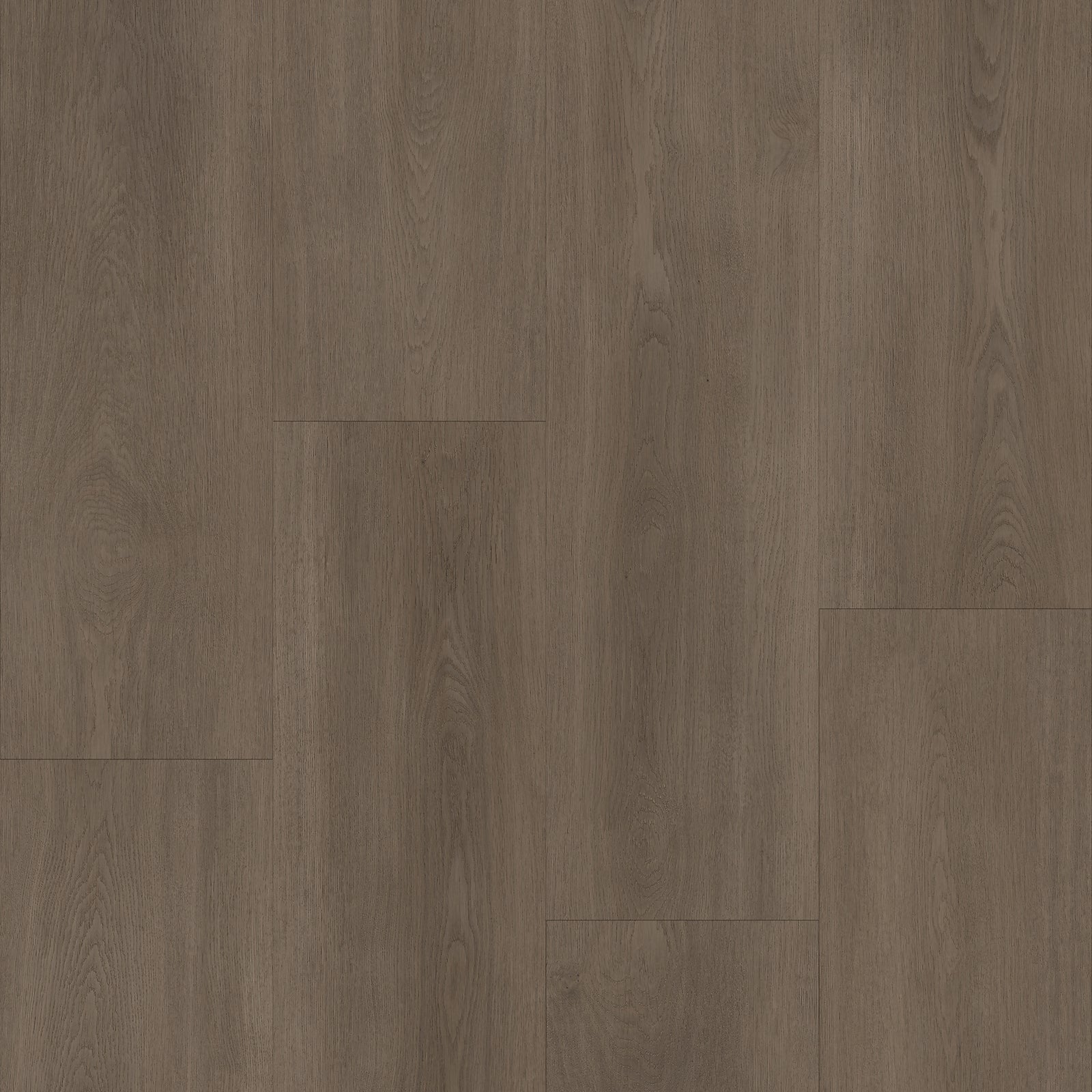 Bodiax Click PVC - Majestic -freelance groothandel