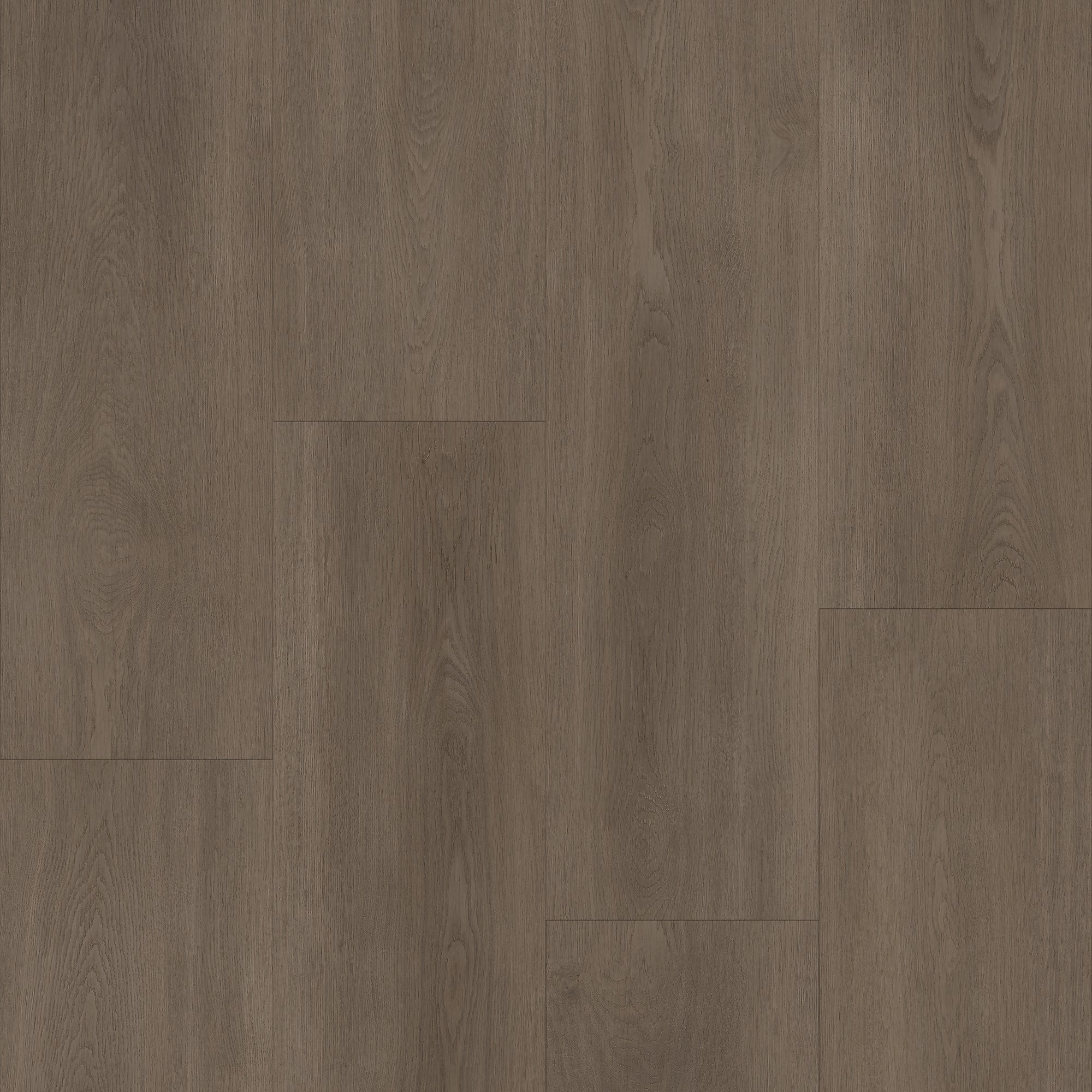 Bodiax Click PVC - Majestic -freelance groothandel