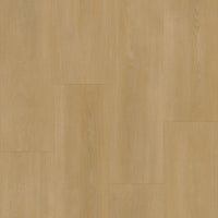 Bodiax BP590 Royal