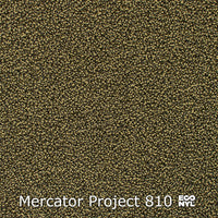 Interfloor Tapijt Mercator Project Econyl