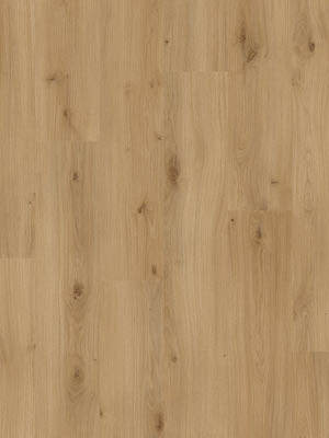 Beautifloor Laminaat West-Vlaanderen