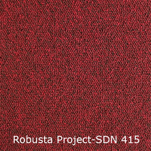 Interfloor Tapijt Robusta Project SDN