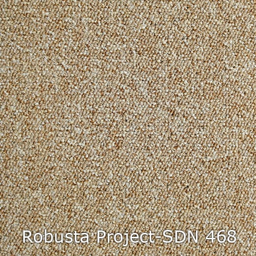 Interfloor Tapijt Robusta Project SDN
