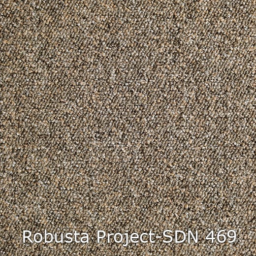 Interfloor Tapijt Robusta Project SDN