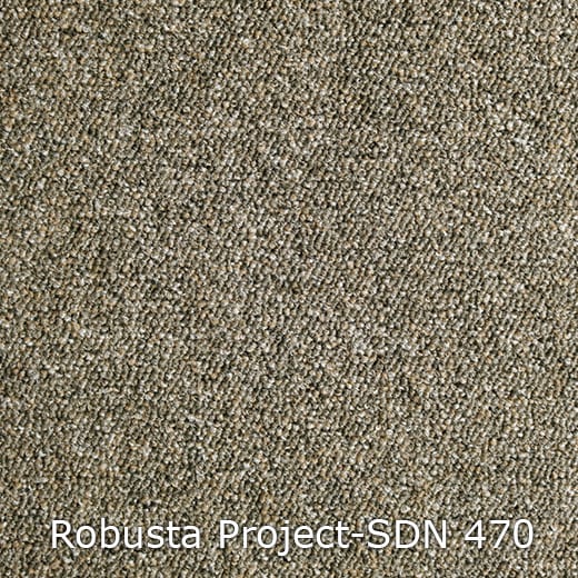 Interfloor Tapijt Robusta Project SDN