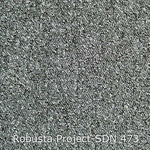 Interfloor Tapijt Robusta Project SDN