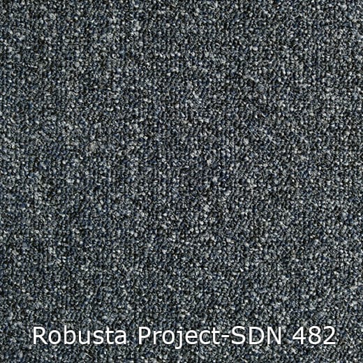 Interfloor Tapijt Robusta Project SDN