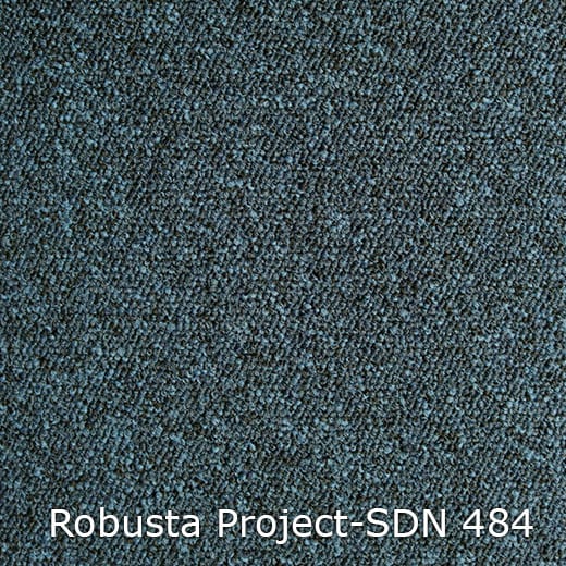 Interfloor Tapijt Robusta Project SDN