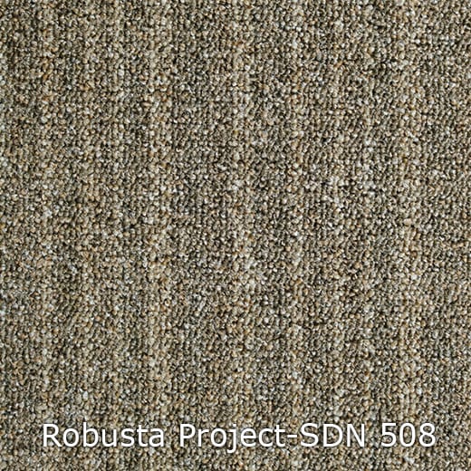 Interfloor Tapijt Robusta Project SDN