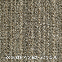 Interfloor Tapijt Robusta Project SDN