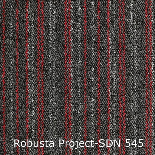 Interfloor Tapijt Robusta Project SDN