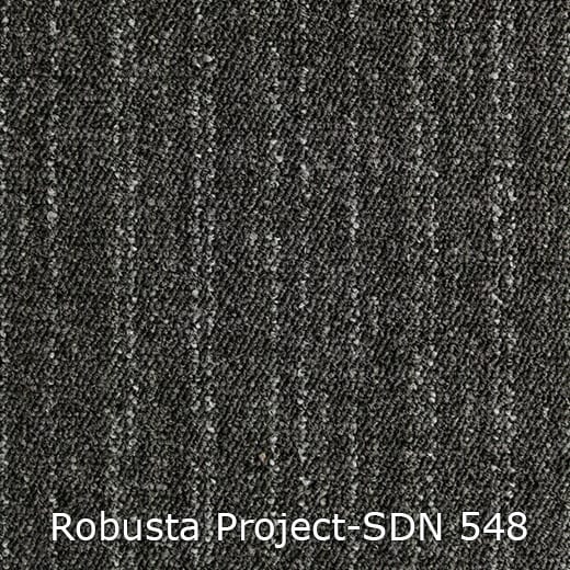 Interfloor Tapijt Robusta Project SDN