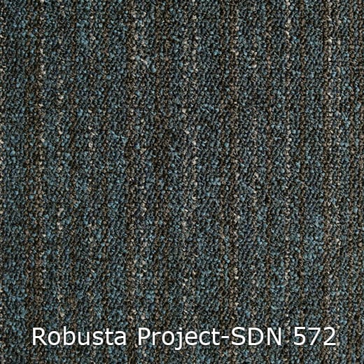 Interfloor Tapijt Robusta Project SDN