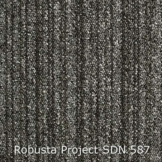 Interfloor Tapijt Robusta Project SDN