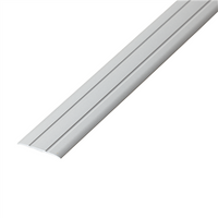 Co-pro Dilatatieprofiel zelfklevend 38mm rvs