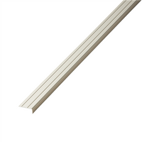 Co-pro Hoekprofiel zelfklevend 10mm rvs