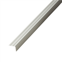 Co-pro Hoekprofiel zelfklevend 20mm rvs