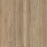Ambiant Vivero Dryback